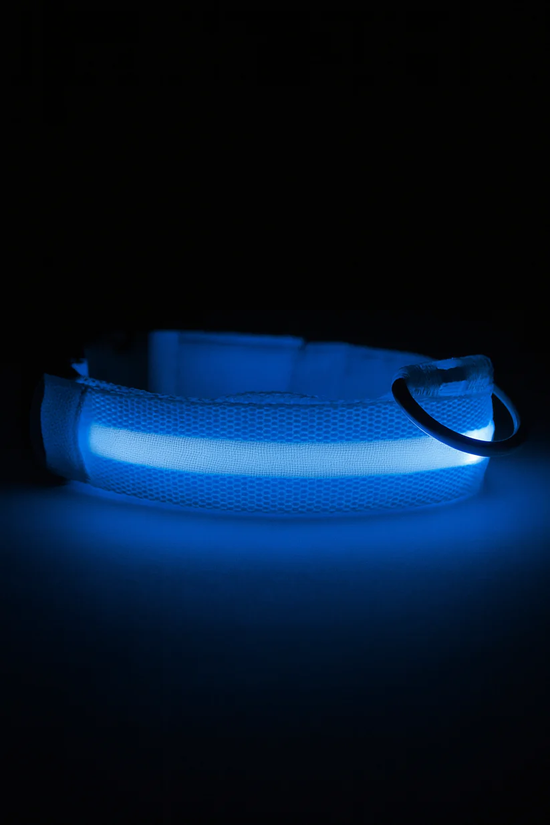 Pawzoo™ Night Visibility Collar