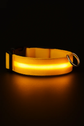 Pawzoo™ Night Visibility Collar