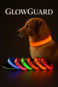 Pawzoo™ Night Visibility Collar