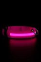 Pawzoo™ Night Visibility Collar