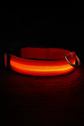 Pawzoo™ Night Visibility Collar